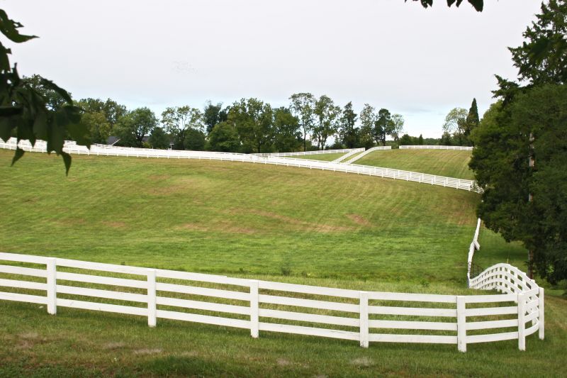Fence detail